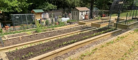 Overview of raised beds in OVG 2023