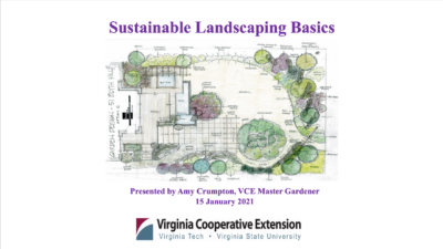 Sustainable Landscaping Basics