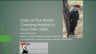 Care of our World: Creating Habitat in Your Own Yard