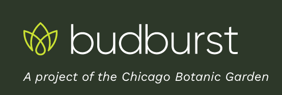 Project budburst logo