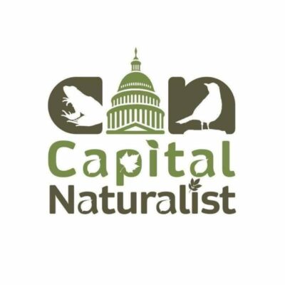 Capital Naturalist Logo