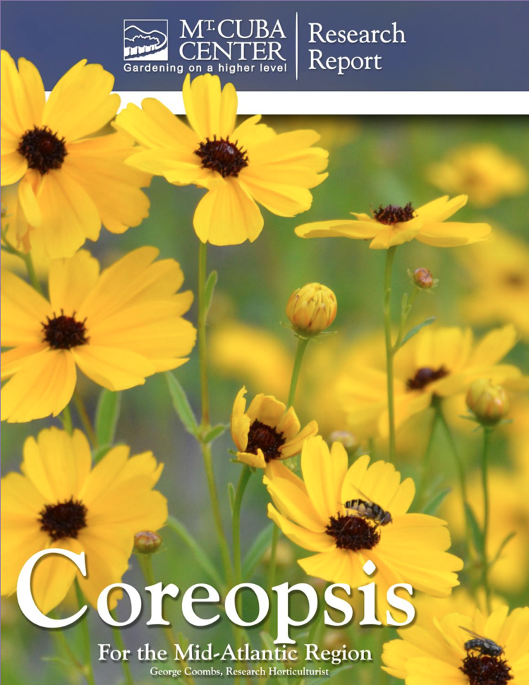 Mt. Cuba Coreopsis Report