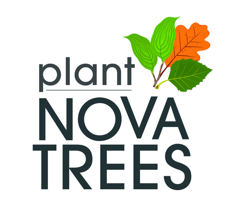 plant NOVA TREES logo