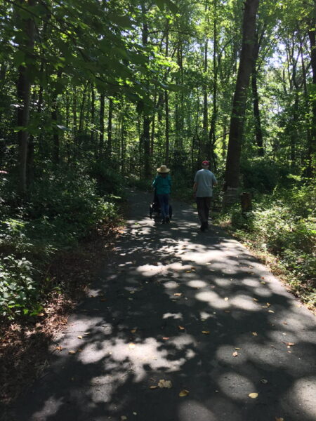 people walking in the woods