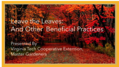 opening slide with fall leaves