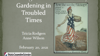 Sowing the Seeds of Victory Cover Slide