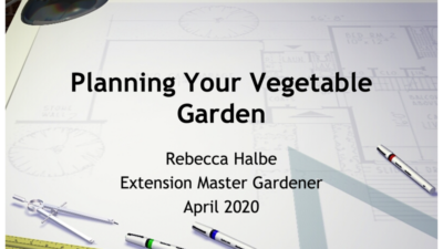 Planning your vegetable garden