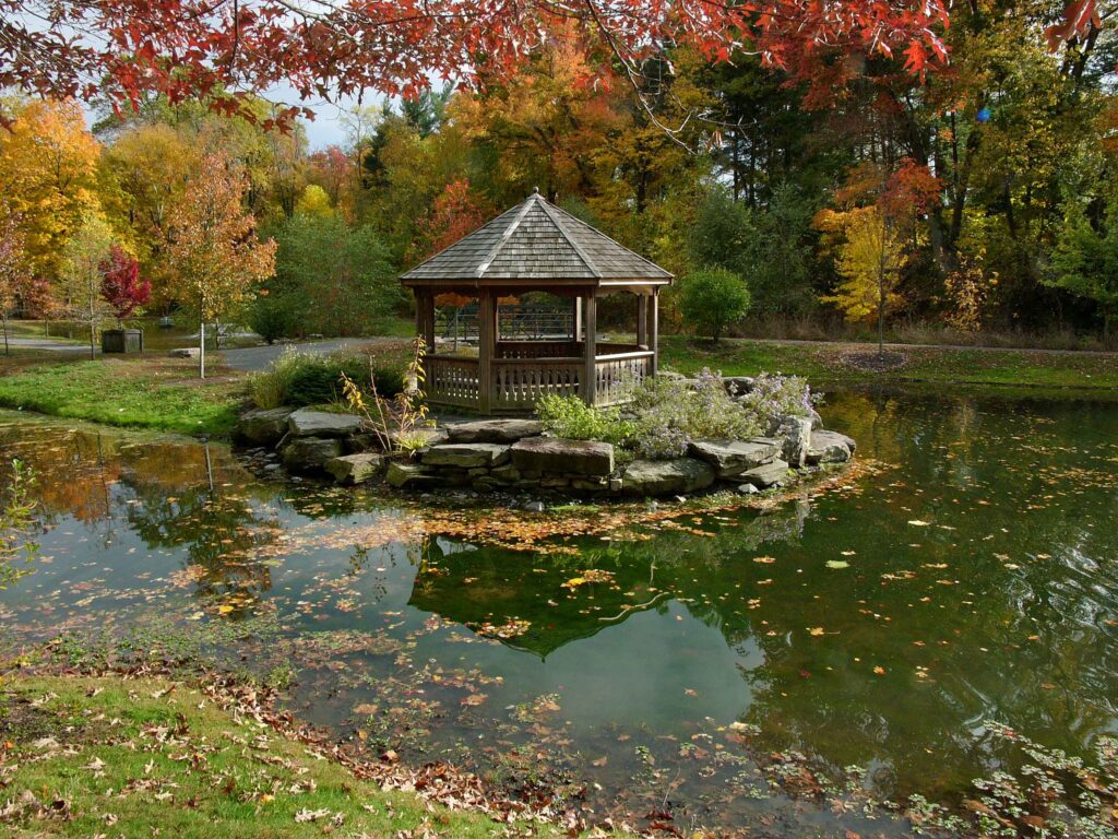 Various deciduous natve trees (oaks, tulip poplar, red maple, green ash, blackgum, ironwood) grow on the slopes or floodplain of Turkeycock Run bordering Green Spring Garden's western pond in November.