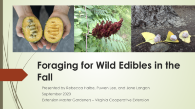Foraging for Wild Edibles in the Fall cover slide