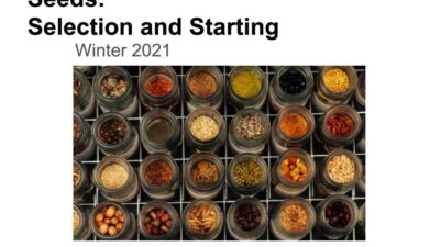 Seeds - Selecting and Starting