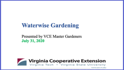 Waterwise gardening presentation opening slide