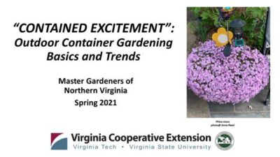 Container Gardening Basics and Trends cover slide for presentation