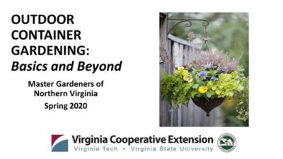 Outdoor container gardening