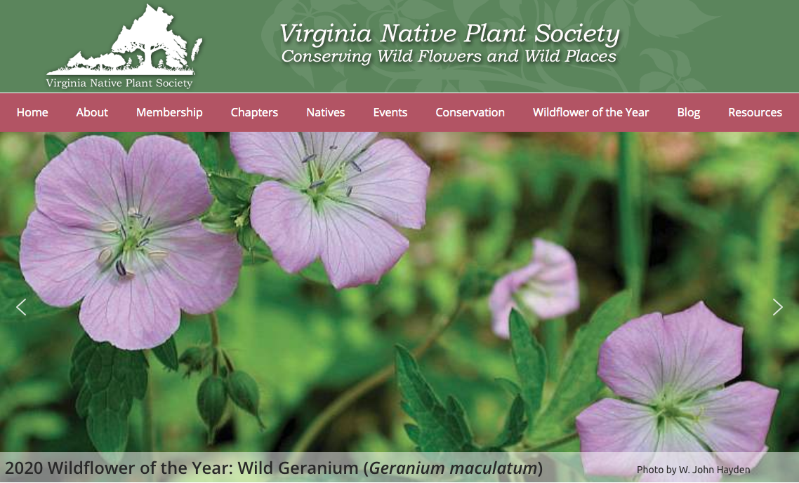 A banner depicting the Virginia Native Plant Society logo and the text 'Conserving Wild Flowers and Wild Places' with an image of wild geranium flowers.