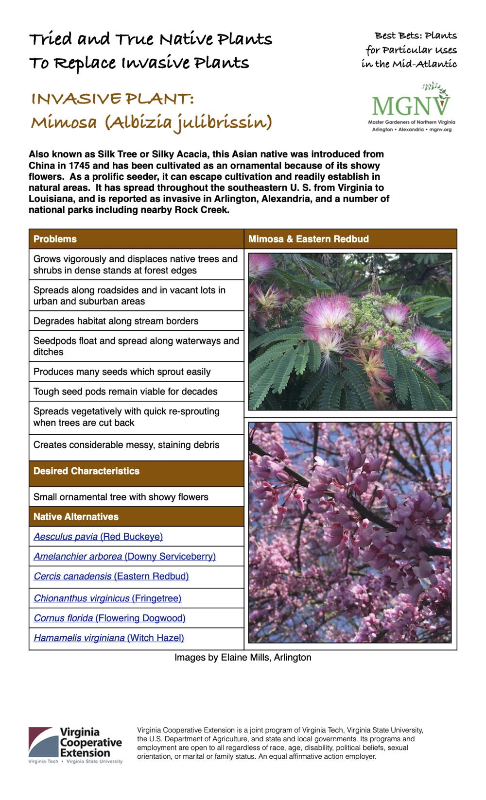 Invasive Mimosa Factsheet