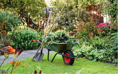 wheelbarrow with garden tools