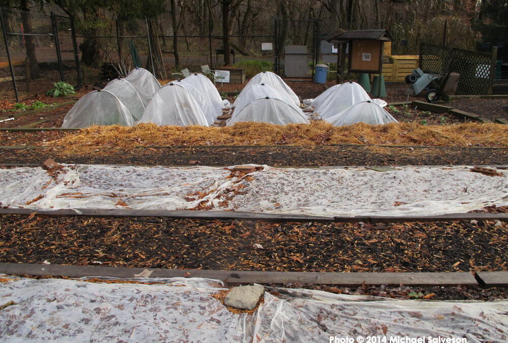Row covers
