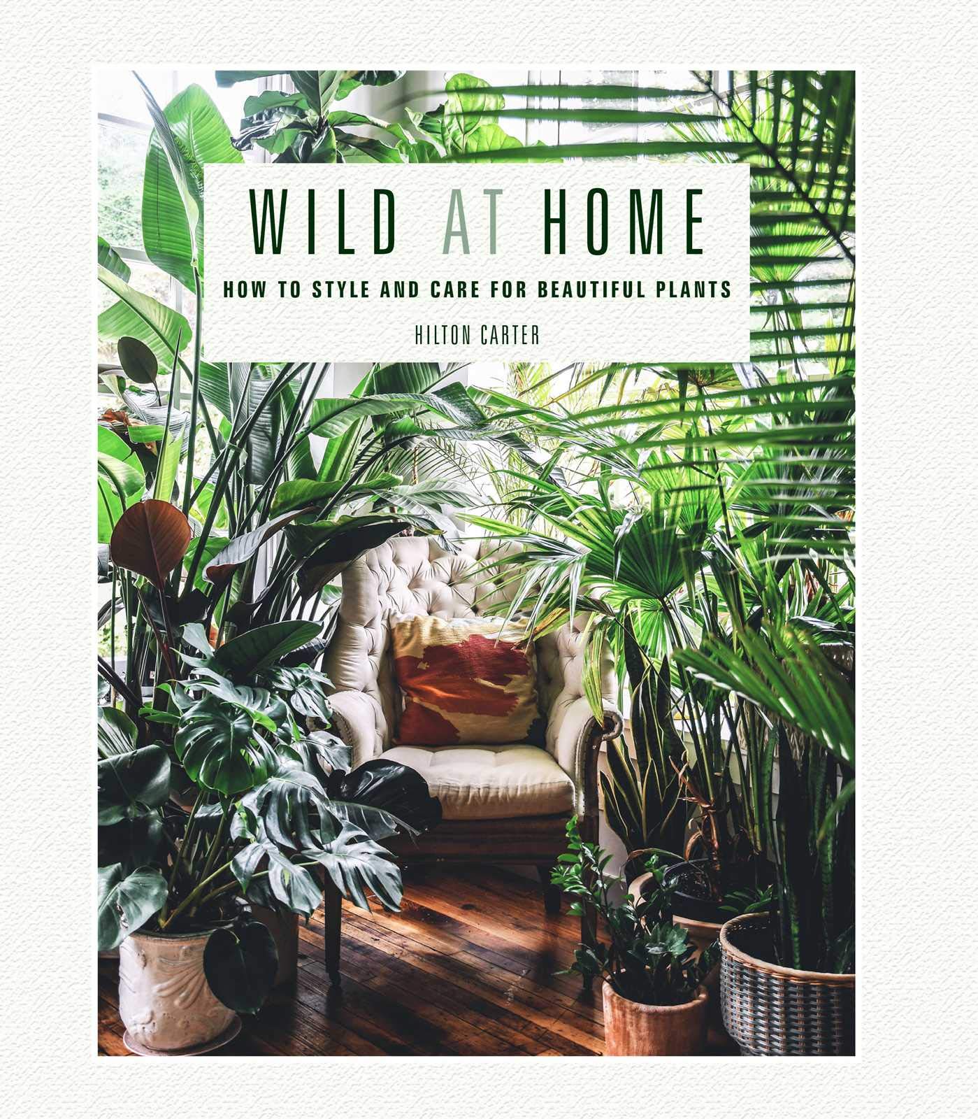 wild_at_home_book_cover
