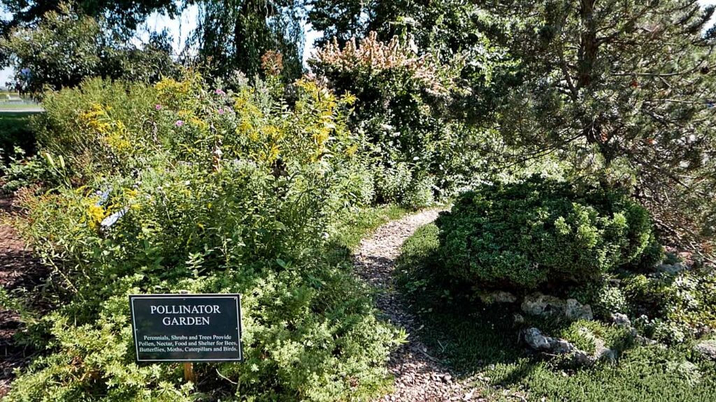 path to the interior of the Pollinator Garden