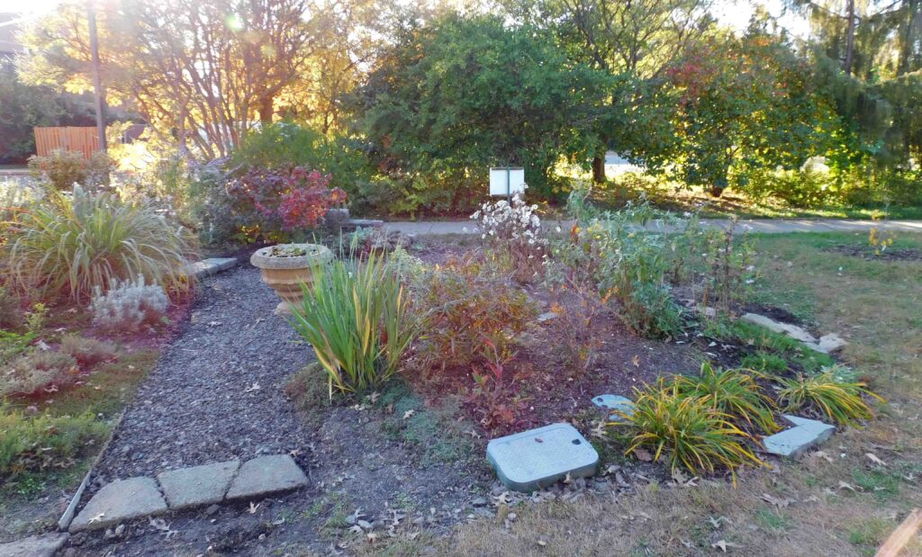 The back of the Scented Garden in November 2020.