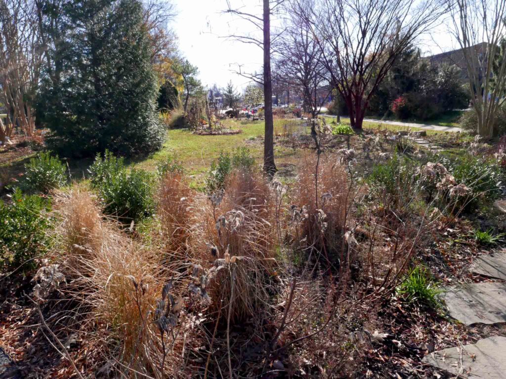 A view of from the back of the demonstration garden in December 2021.