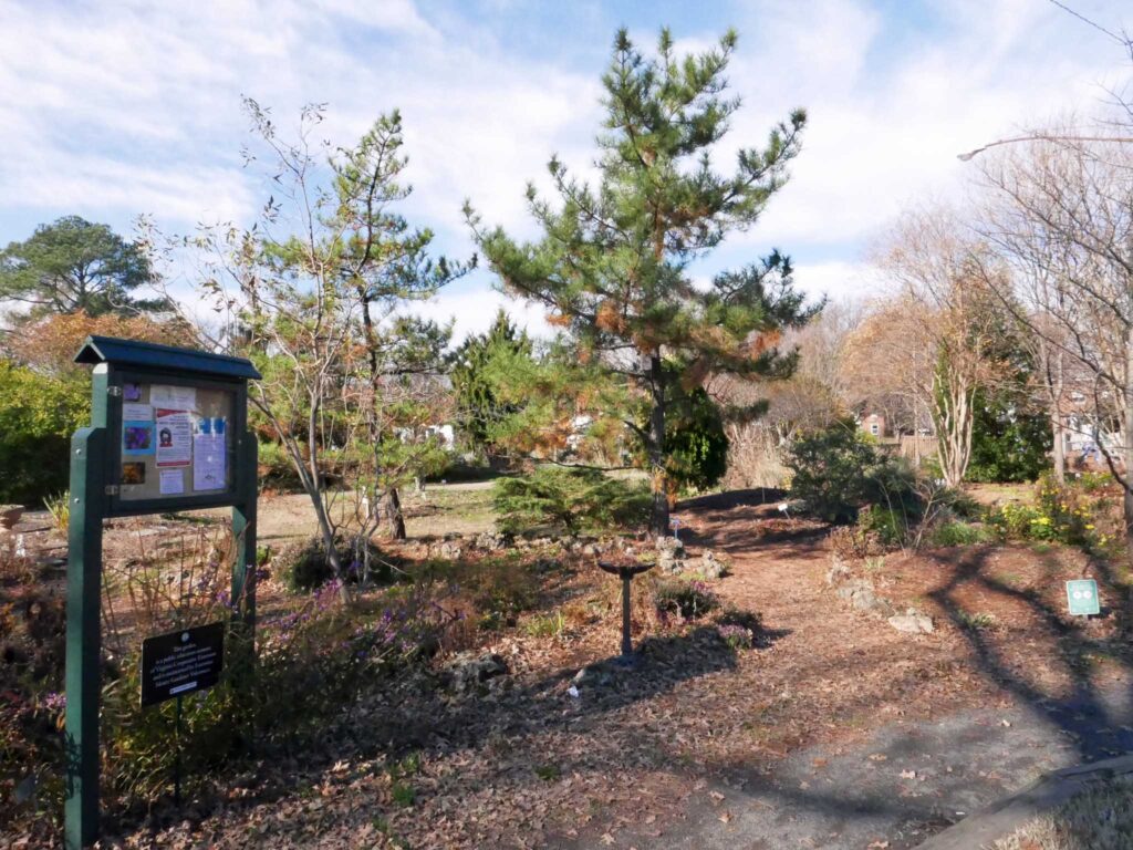 The Large Tufa Garden in December 2021. Photo © Mary Free