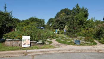 Simpson Park Demonstration Garden celebrates its 25th anniversary in 2018.