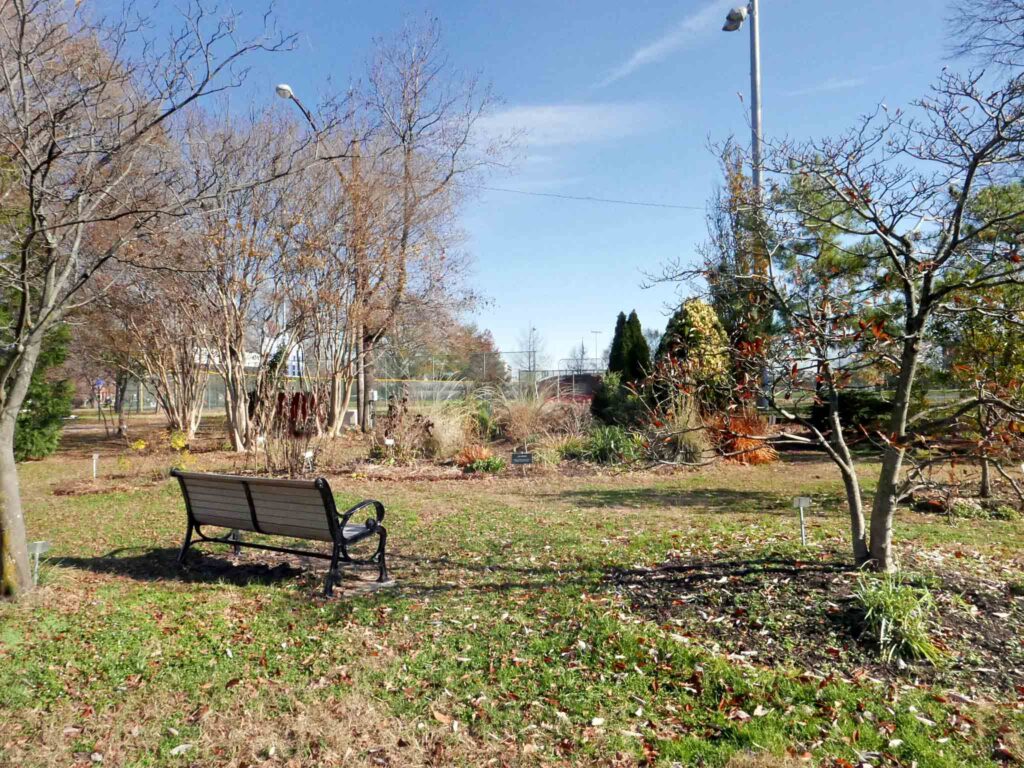 The Shade Garden (left) and The Berm (right) in December 2021.