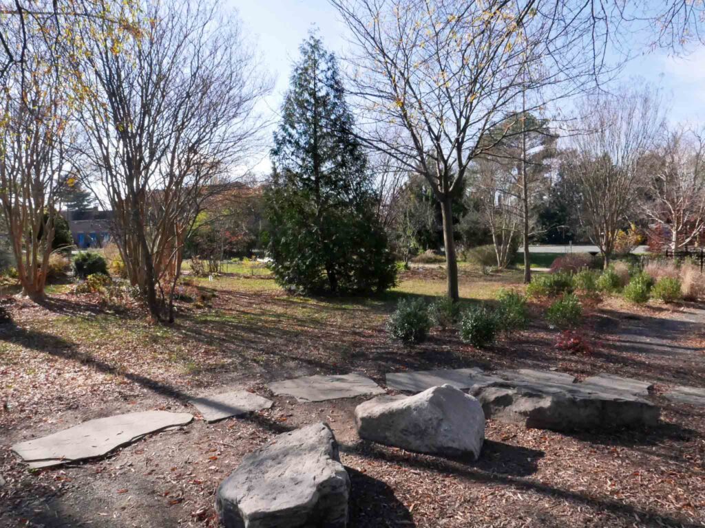 A view of the Shade Garden (left) from the back of the Demonstration Garden in December 2021. The slate path and boulders were installed by the City of Alexandria to mark the perimeter of the adjacent playground.