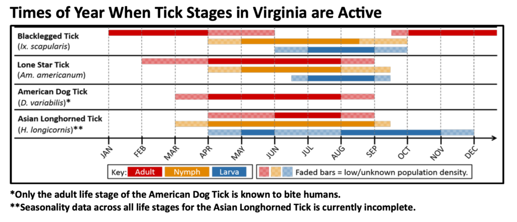 chart - times of year when ticks are active in virginia