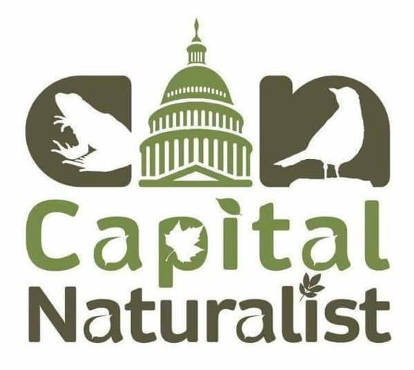 capital naturalist logo