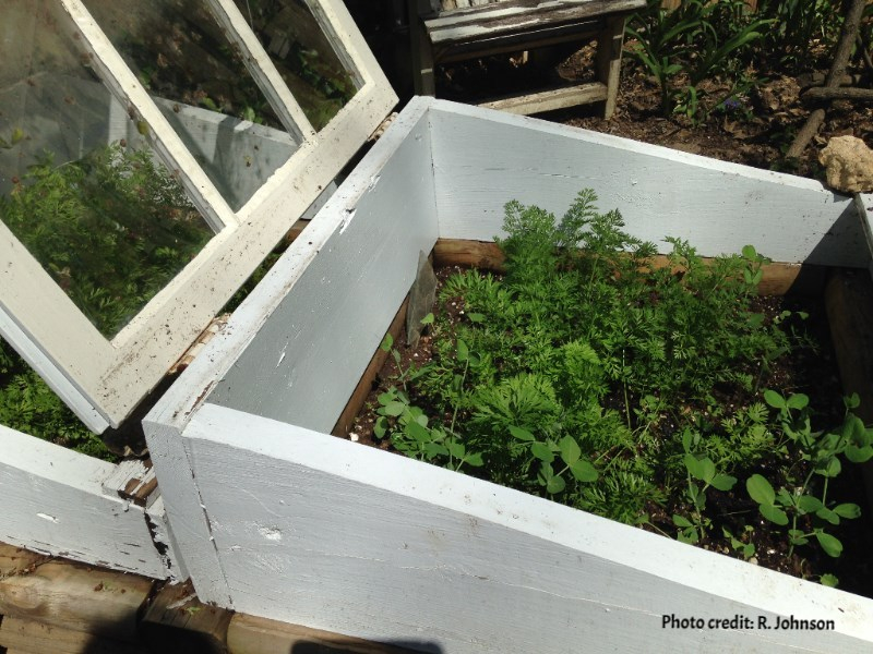 Cold Frame