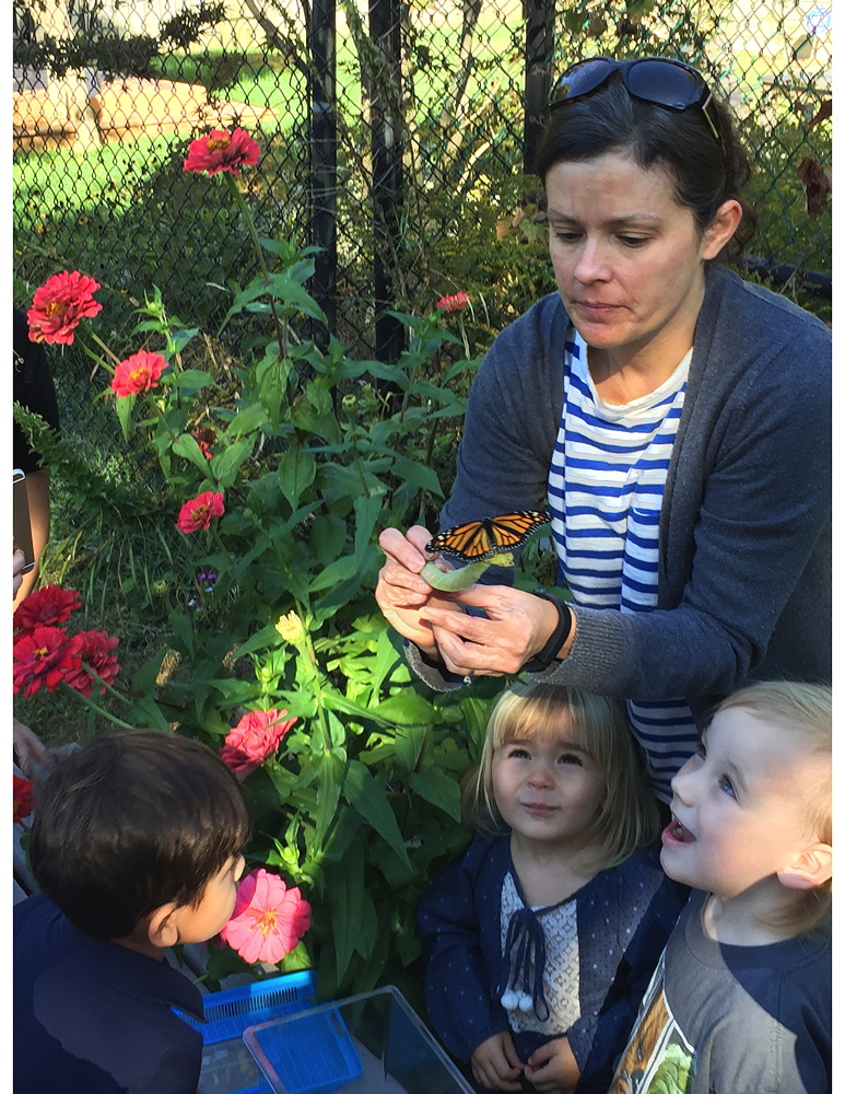 Carlin Hall Preschool children and their teacher Carly Moser
release 'their' Monarch Butterfly.