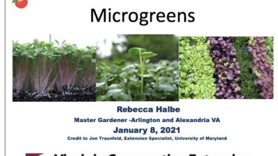 Microgreens Slide cover