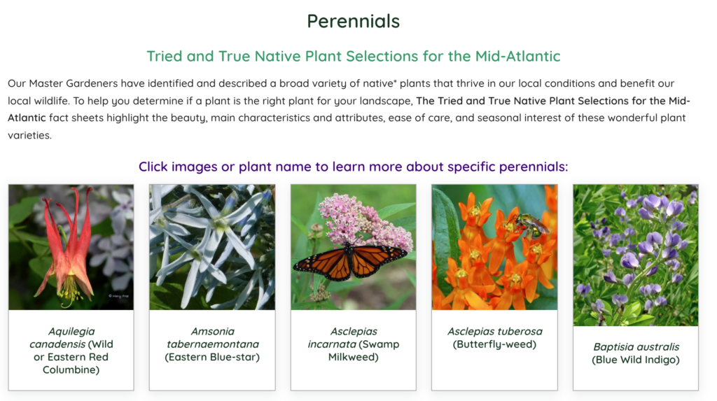 Tried and True Perennials Plants index page