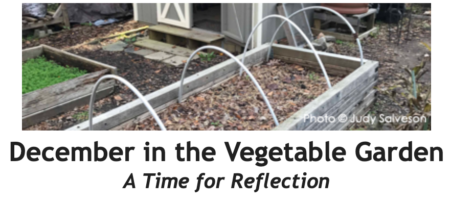 December in the Vegetable Garden Between the Rows Header