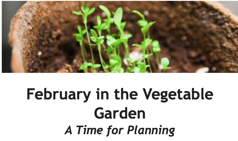 February in the Vegetable Garden Between the Rows Header