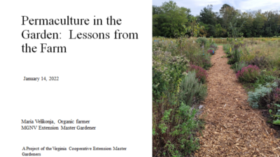 Permaculture in the Garden: Lessons from the Farm