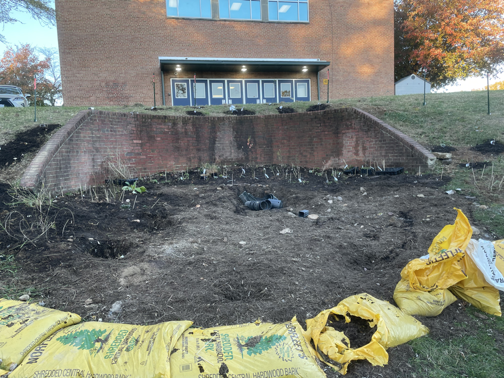 native plant garden in process at William Ramsey Elementary School