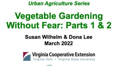 Vegetable Gardening without Fear