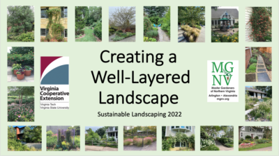 Creating a Well-Layered Landscape Title Slide