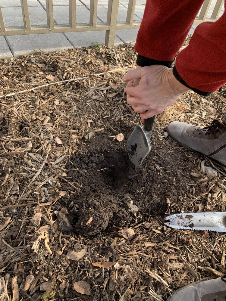 FCC soil test dig 6 inches