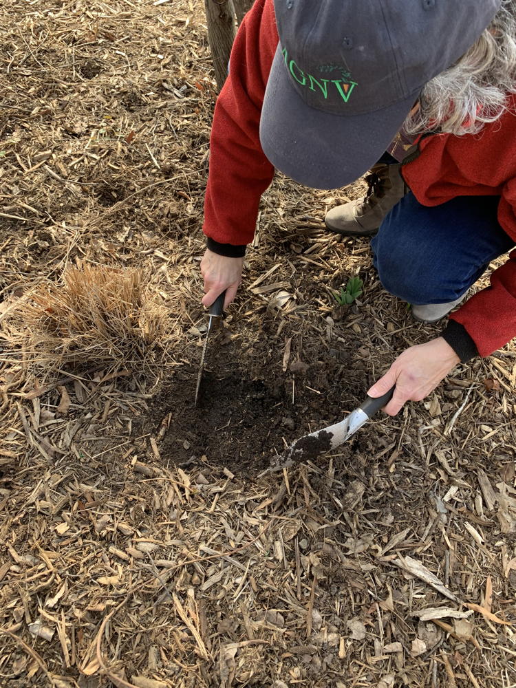 FCC soil test move mulch