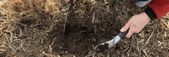 FCC soil test move mulch