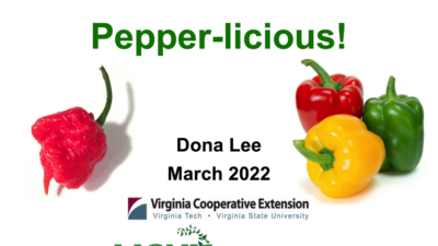 Pepper-licious Cover Slide