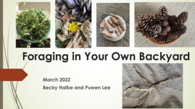 Foraging in your own backyard