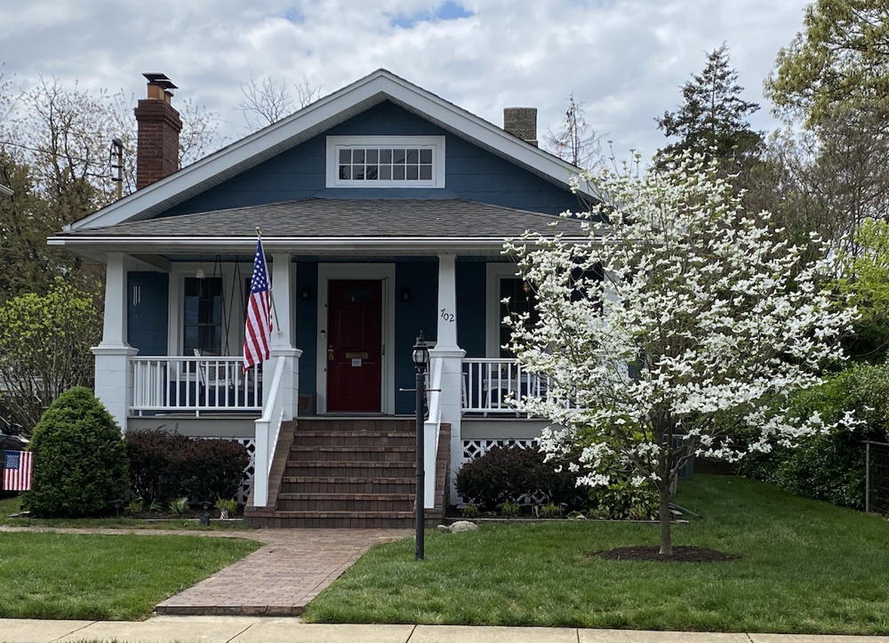 House with blooming tree
