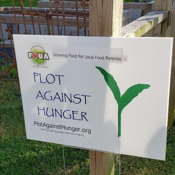 Plot against Hunger