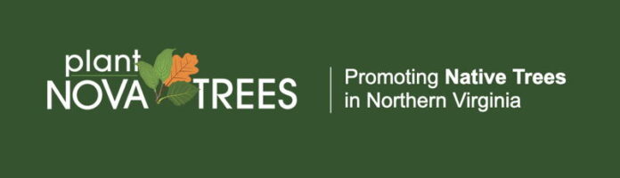 plantNOVAtrees logo