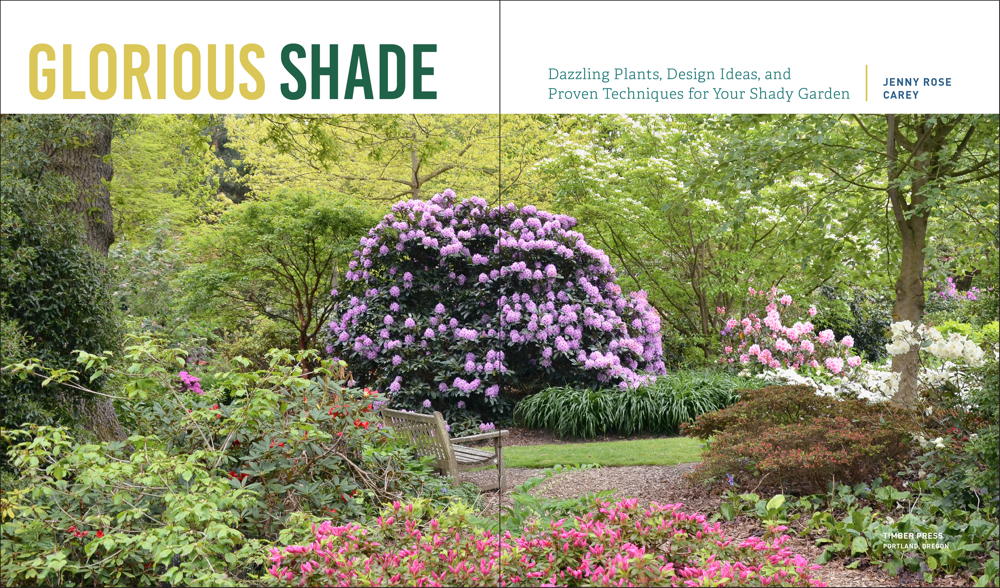 Full spread Glorious Shade cover